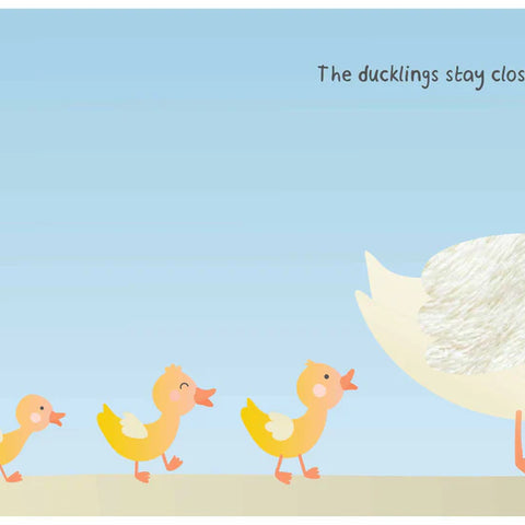 Baby's World - Touch and Feel Board Book - Farm Animals
