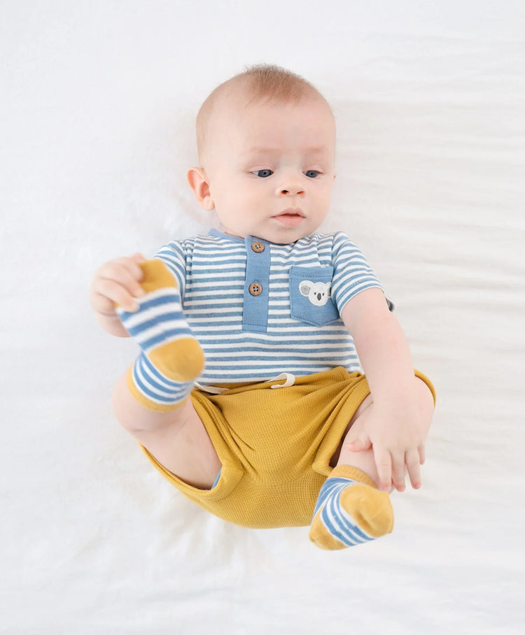 Lummi in Colour Organic Cotton Short Sleeve Bodysuit - Koala & Blue Stripes